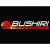 Bushiri Karting Speedway